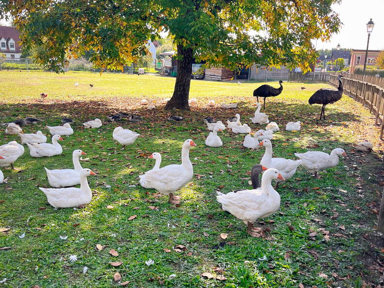 22-10-08 13-19-19 2526